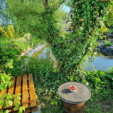 Apartament U Beti Ополе Экстерьер фото